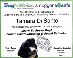 Tamara Di Santo Pet Proffessional Guild Best Friend Dog Care dog training, behaviour and relation ship coach Adelaide South Australia