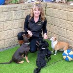 Tamara Di Santo Best Friend Dog Care dog training, behaviour and relation ship coach Adelaide South Australia