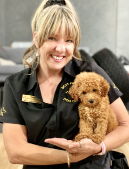 puppy training, dog trainer, training with tamara ,dog training, puppy training, online dog training, dog walking, dog walker adelaide, trick training for dogs, how to train puppy, best friends, best friend dog training,
