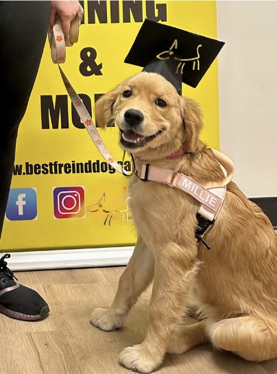 happy Tamara L Di Santo - Principal - Best Friend Dog Care